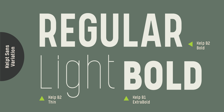 Kelpt Sans B1 Extra Light Italic Font preview